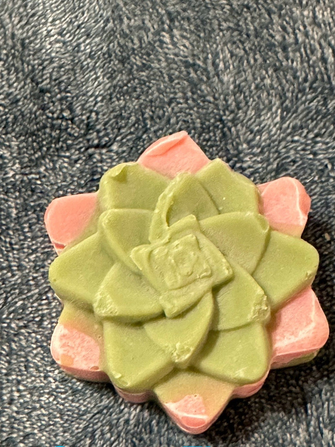 Cactus Flower