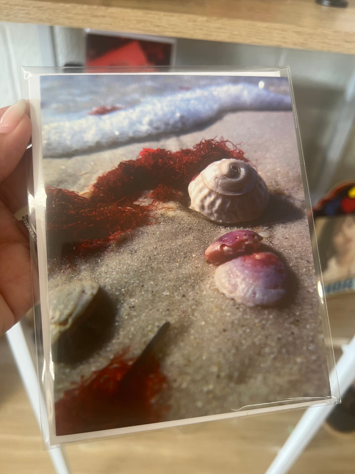 Note Cards